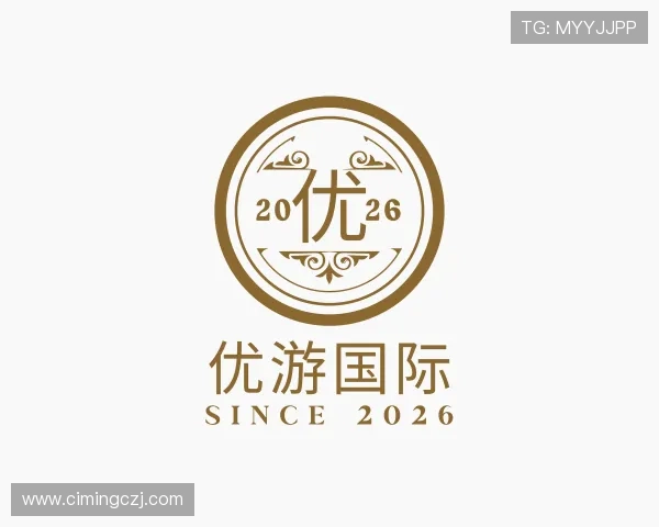 介绍优游国际